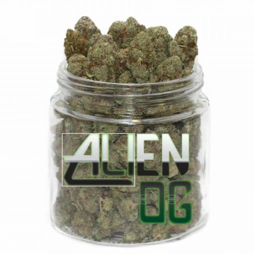 Alien OG